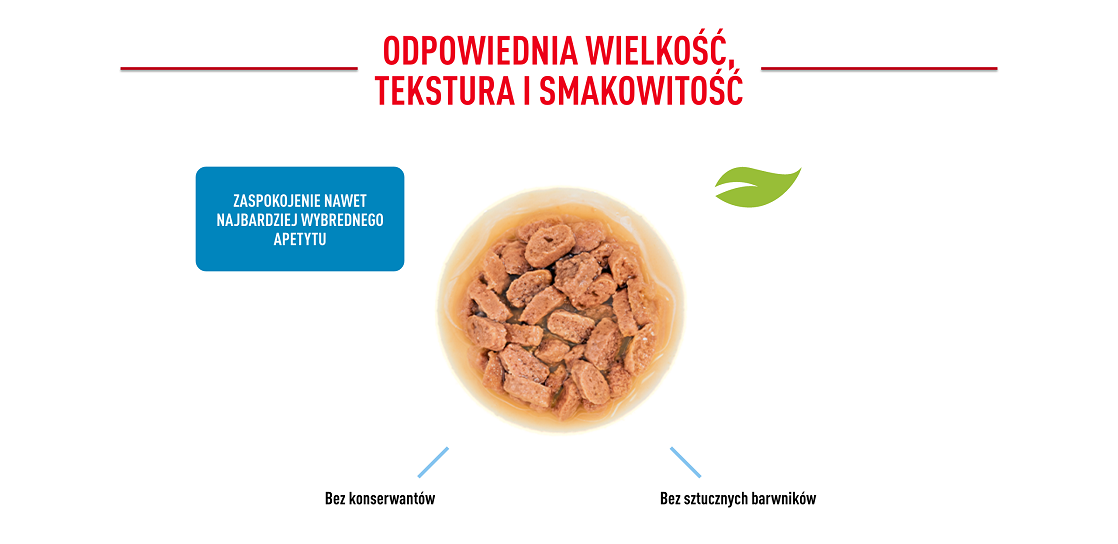 ROYAL CANIN Mini puppy 12x85 g 